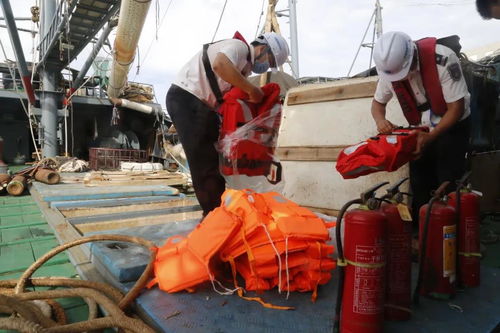 福建省 2020年开展违法违规修造涉渔船舶专项整治行动,查处 三无 船舶368艘